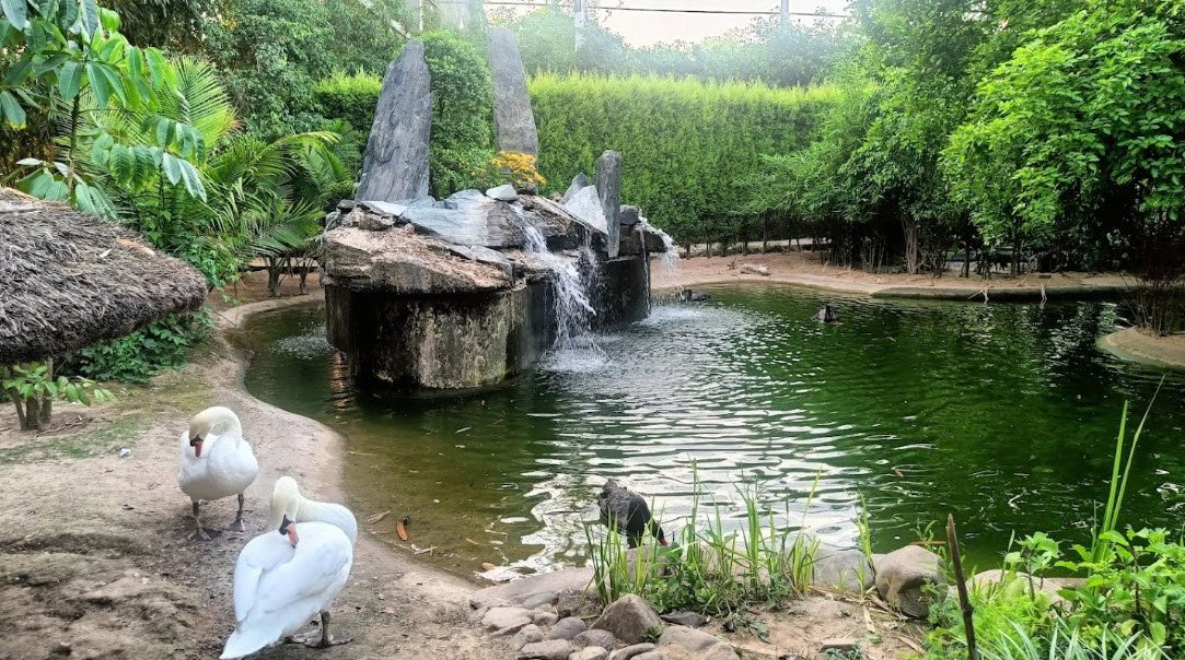 City Birds Wildlife Sanctuary, Chandigarh, Chandigarh - Vushii.com